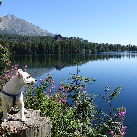 Panorama Rent Leilighet Štrbské Pleso Eksteriør bilde