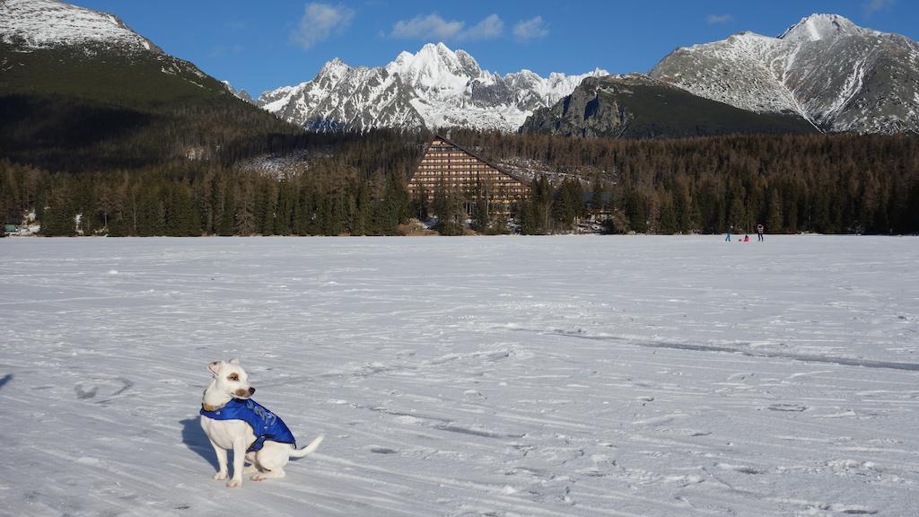 Panorama Rent Leilighet Štrbské Pleso Rom bilde