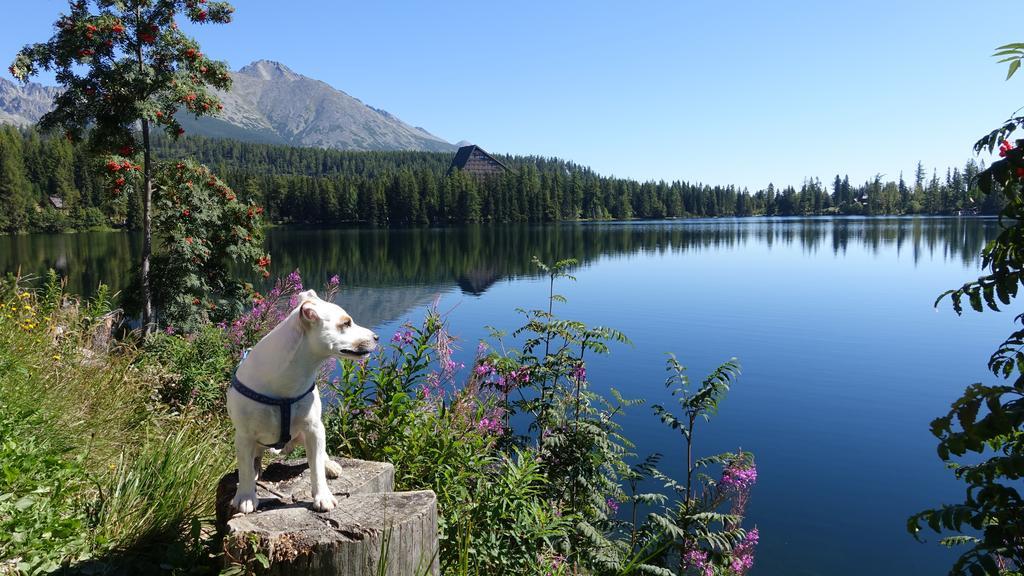 Panorama Rent Leilighet Štrbské Pleso Eksteriør bilde